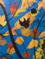 Autumn Leaf Adventres