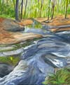 Spring Wander on Powell Creek