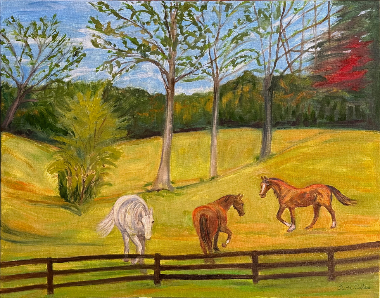 Summer Pasture